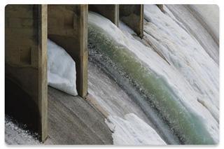 Images shows water flowing by dam