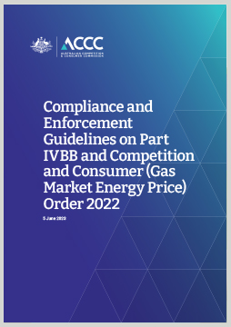 Thumbnail of Compliance and Enforcement guidelines front page